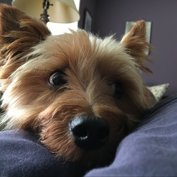 Meet your Posher, Lori - Picture 1 of 1